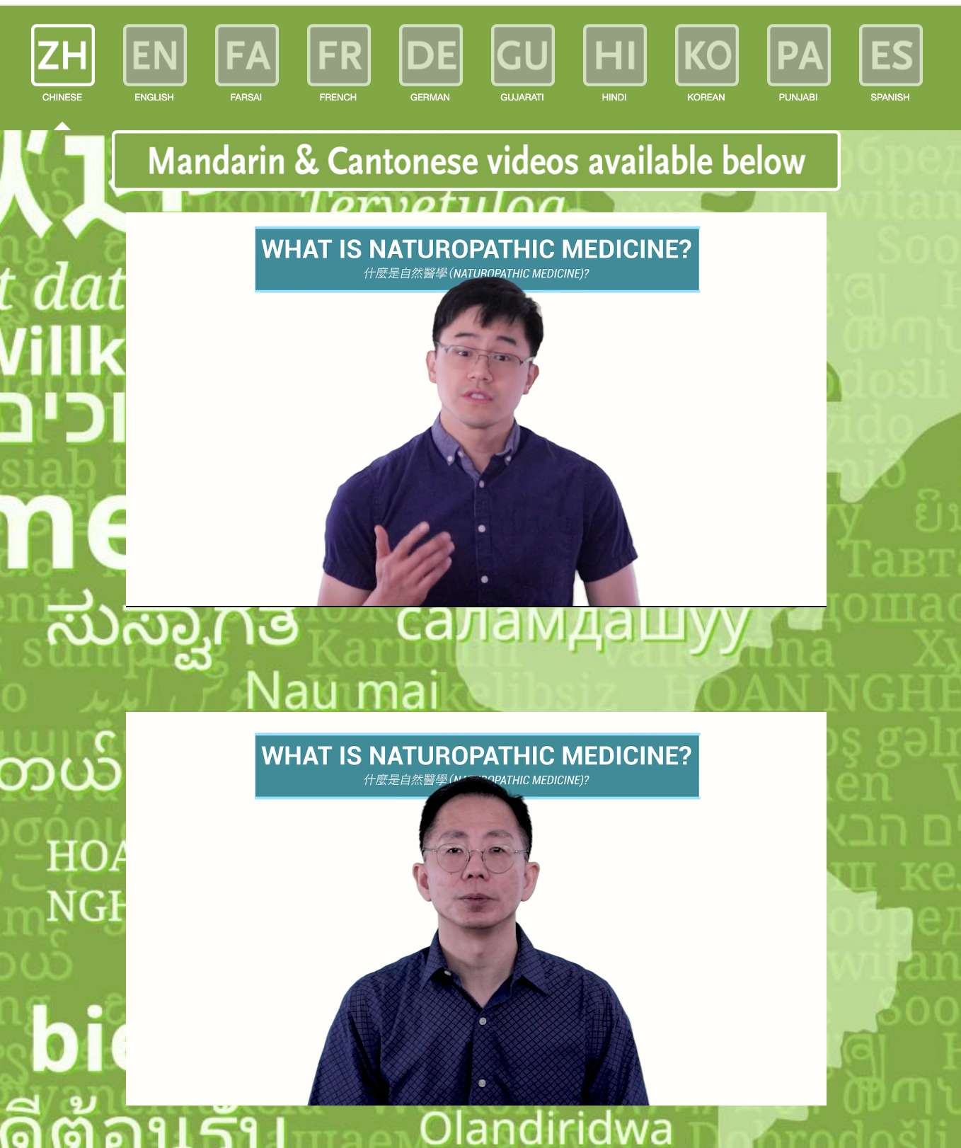 Multi-lingual Videos